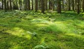 Tour Wandern Masevaux-Niederbruck - Reco avec ALAIN..Rando CLAS du 29/08/2024 - Photo 16