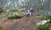 Trail Walking Fontainebleau - carrefour de Vienne 10 mars 2023  - Photo 11