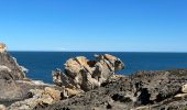 Tour Wandern Cadaqués - Cap Creus effacer trace excédentaire  - Photo 2