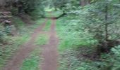 Tour Wandern Aydat - Puy de Vichatel depuis la Garandie - Photo 18