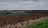 Tour Wandern Gembloux - Bossiere 310123 - Photo 9