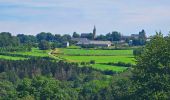 Tocht Stappen Durbuy - Balade à Villers Sainte Gertrude - Photo 10