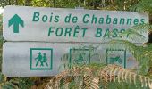 Randonnée Marche Fursac - Crechat, Ars, forêt basse et haute de Chabanne  - Photo 2