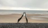 Randonnée Marche Veere - Se promener dans Westkapelle et dans les dunes  - Photo 16