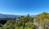 Trail Walking Entre-Deux - Entre-Deux - Sentier Inard (boucle) - Photo 15