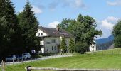 Tocht Te voet Kainach bei Voitsberg - Wanderweg 75 - Photo 4