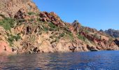 Percorso Motoscafo Ota - Calanques par la mer Scandola Girolata - Photo 2