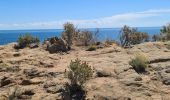 Tocht Stappen Ramatuelle - bonne terrasse Camarat - Photo 10