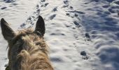 Tocht Paardrijden Saint-Martin - neige kaline vispa  - Photo 1