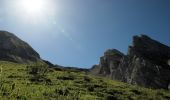 Trail Walking La Clusaz - Le Lac de Tardevant - Photo 9