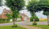 Tocht Stappen Verneuil-l'Étang - Le tour du grand Paris via le GR1 Etape 12 Verneuil l'Etang- Melun - Photo 16