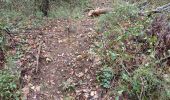Trail Walking Flayosc - reconnaissance berne circuit jaune  - Photo 12