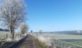 Trail Walking Vielsalm - entre Fraiture et le plateau des Tailles - Photo 1