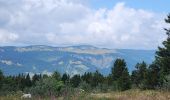 Trail Walking Lans-en-Vercors - mm - Photo 2