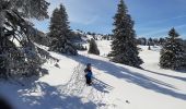 Tour Schneeschuhwandern Gex - La Faucille_Montrond 11km 20200220 - Photo 3