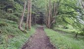 Trail Walking Le Mesnil-Simon - Le Mesnil Simon - Photo 20
