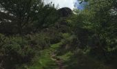 Trail Walking Irun - Boucle 3 couronnes  - Photo 6