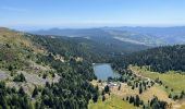 Tour Wandern Sulzern - Tanet-Gazon du Fain-Tanet - Photo 3