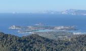 Tour Wandern La Seyne-sur-Mer - Notre Dame du Mai - Cap Sicié - Photo 3