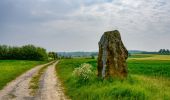 Tour Wandern Couvin - RB-Na-27-racc-2_Entre-Eau-Blanche-et-Eau-Noire - Photo 2