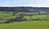 Trail Walking Limbourg - 20240325 - Limbourg 5,6 Km - Photo 16