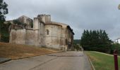 Trail Walking Cirauqui - Estella - Photo 1