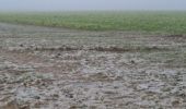 Tocht Stappen Verlaine - champon - Photo 6