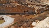 Trail On foot Ramat Negev Regional Council - IL-14181 - Photo 10