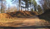 Tocht Stappen Retheuil - en forêt de Retz_76_dans les forêts de Retz et de Compiègne - Photo 1