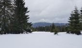 Tocht Sneeuwschoenen Gérardmer - gerardmer2 - Photo 4