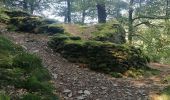 Tour Wandern Bouillon - Belle rando très sportive au départ de Rochehaut  - Photo 7