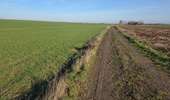 Trail Walking Les Bons Villers - Mellet - Saint-Amand - Photo 11