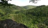 Tour Wandern Bouillon - La Randonnée des échelles - Rochehaut - Photo 6