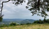 Tour Wandern Saint-Cyr-le-Chatoux - Saint-Cyr-le-Chatoux / 10 km - Photo 7