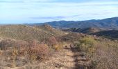 Tocht Stappen Ille-sur-Têt - puig pedros  - Photo 11