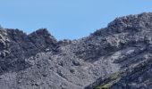 Tocht Stappen Gemeinde Vandans - Lünersee-Gafalljoch-Gamsluggen-Totalphütte (PVDB) - Photo 15