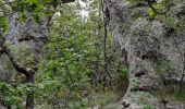 Tour Wandern Mazaugues - Mazaugues les Arches - Photo 1