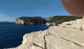 Excursión Senderismo Cassis - Cassis, les trois calanques, la pomme de pin (cacau), le trou du souffleur... - Photo 12