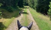 Trail Horseback riding Fraize - Fraize-Orbey - Photo 18
