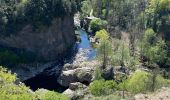 Tour Wandern Fabras - Fabras Jaujac les orgues basaltiques  - Photo 10