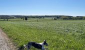 Trail Walking Libramont-Chevigny - Bras - Photo 5