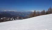Tour Schneeschuhwandern Montclar - Raquettes Montclar  - Photo 1