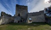 Randonnée Marche Allan - Allan Château de Rochefort en Valdaine - Photo 2