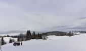 Tocht Sneeuwschoenen La Pesse - la Pesse rando raquette neige  - Photo 1