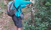 Trail Walking Kerfot - balisage Paimpol - Photo 1