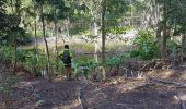 Trail Walking Terre-de-Bas - terre de bas rouge et bleue - Photo 15