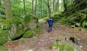 Tour Wandern Woll - Kastelberg des pierres, des lacs, des panoramas magnifiques  - Photo 17
