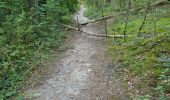 Excursión Senderismo Maisse - Maisse - Forêt communale de Milly-la-Forêt - Photo 4