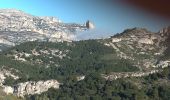 Tocht Stappen Hyères - Les calanques titou Ninou les 3 arches - Photo 12