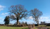 Trail Walking Theux - Wayot . hodbomont . jevoumont. marché . bourdouxhe . theux - Photo 15